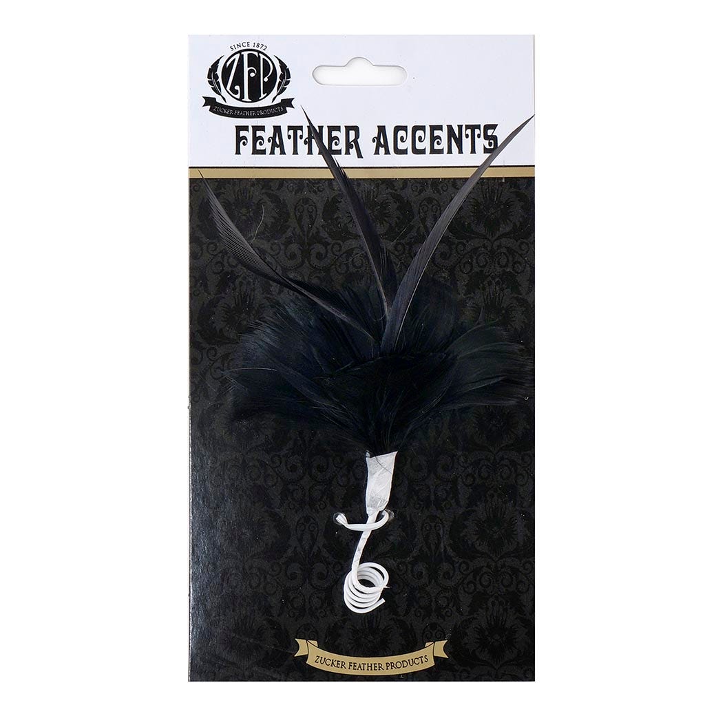 Black Coquille and Biot Feather Floral Pick