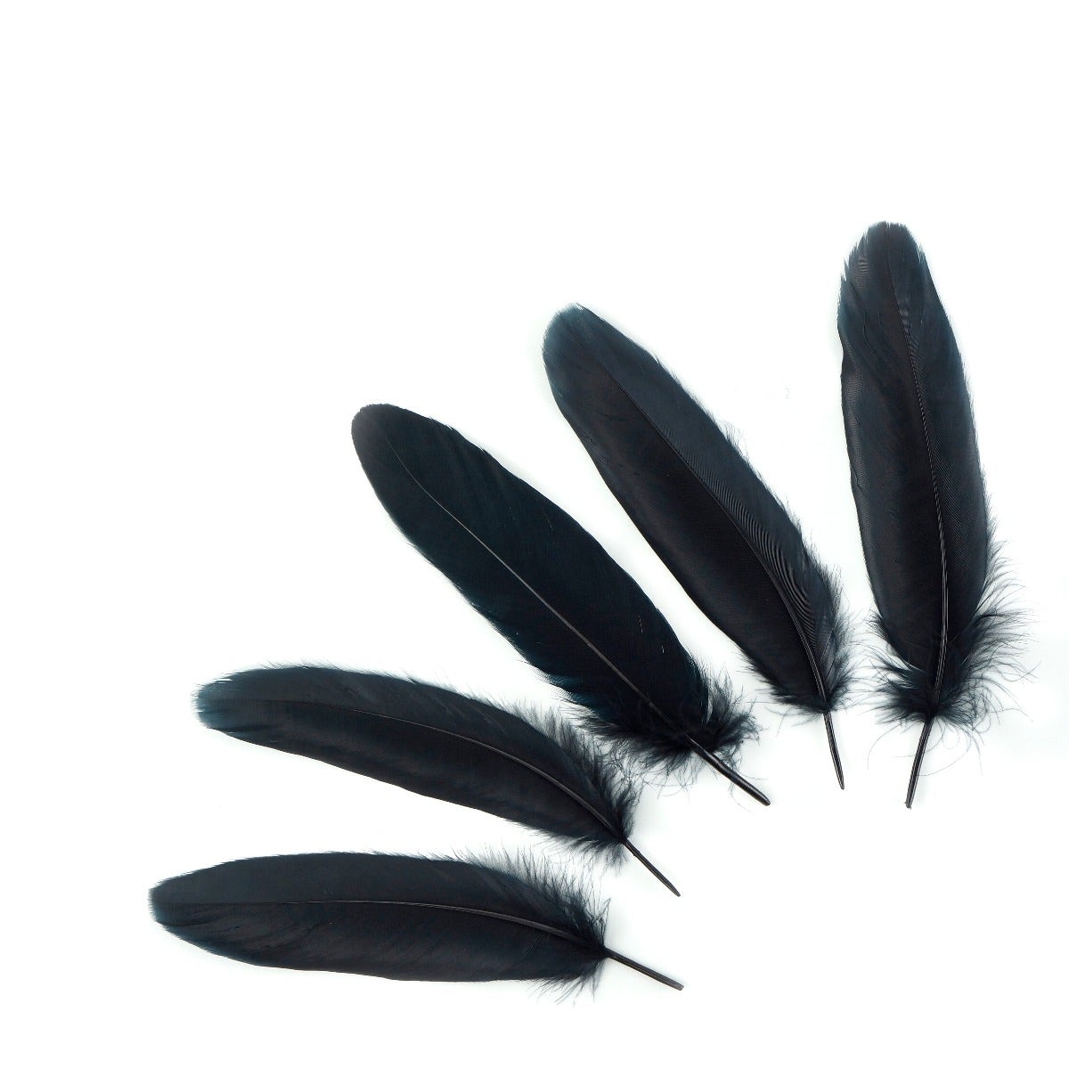 Goose Pallet Feathers 6-8" - 12 pc - Black