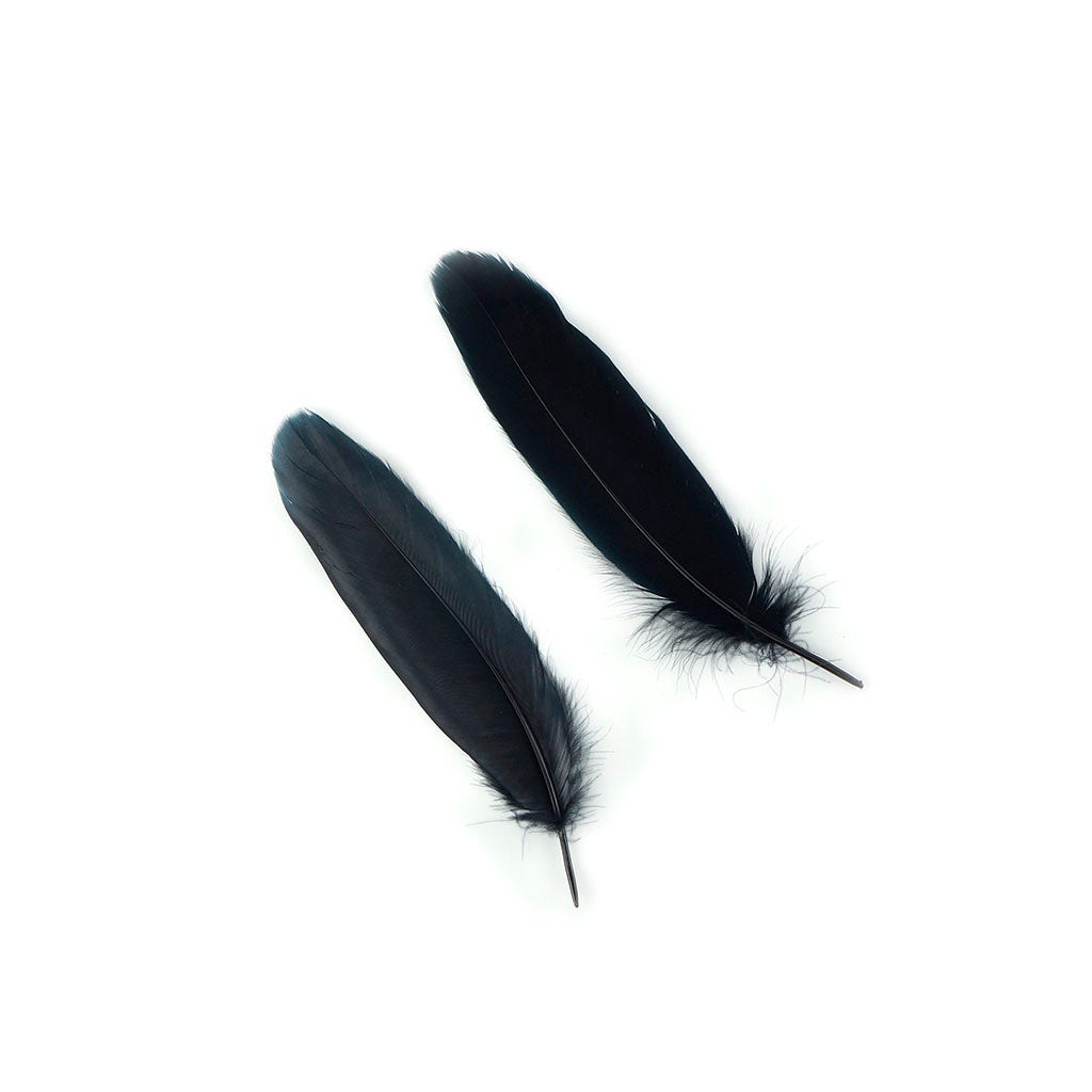 Bulk Goose Pallet Feathers 6-8 nch - 1/4 LB - Black