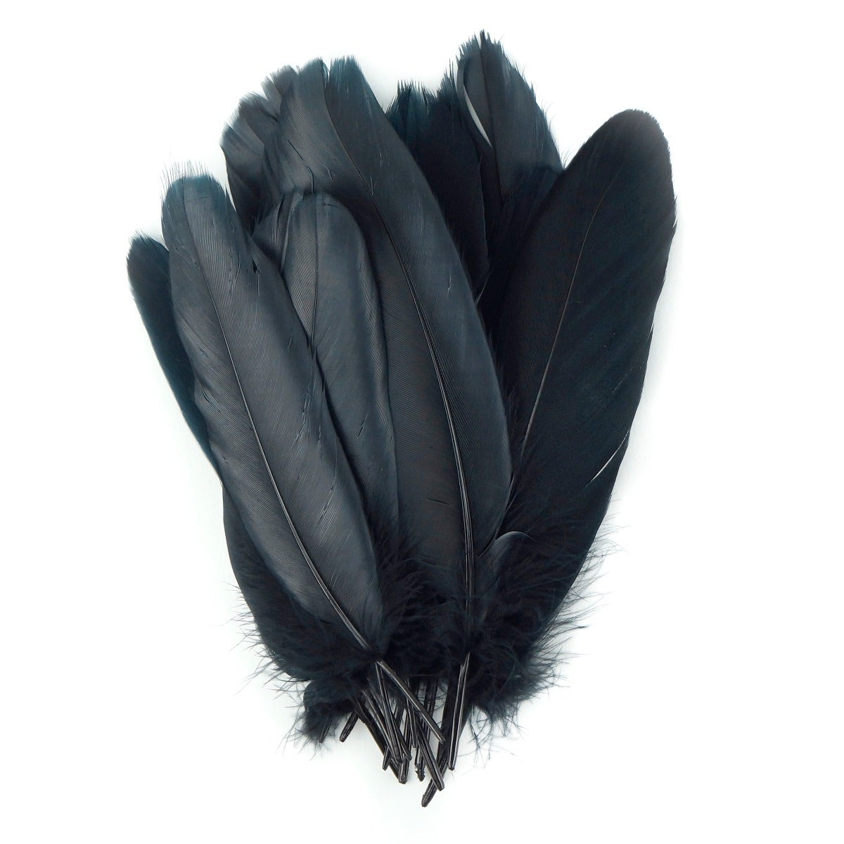 Goose Pallet Feathers 6-8" - 12 pc - Black