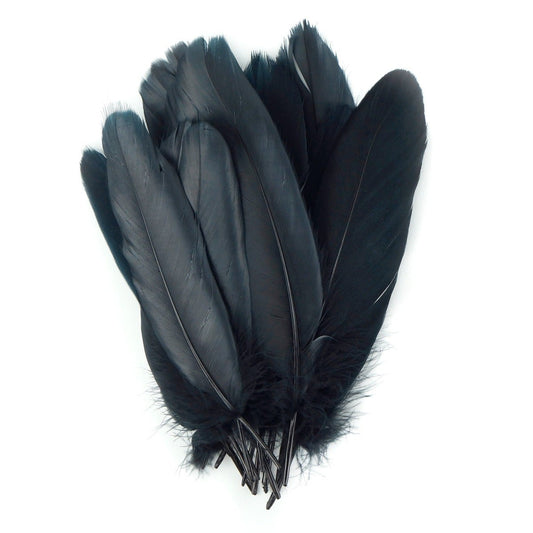 Goose Pallet Feathers 6-8" - 12 pc - Black