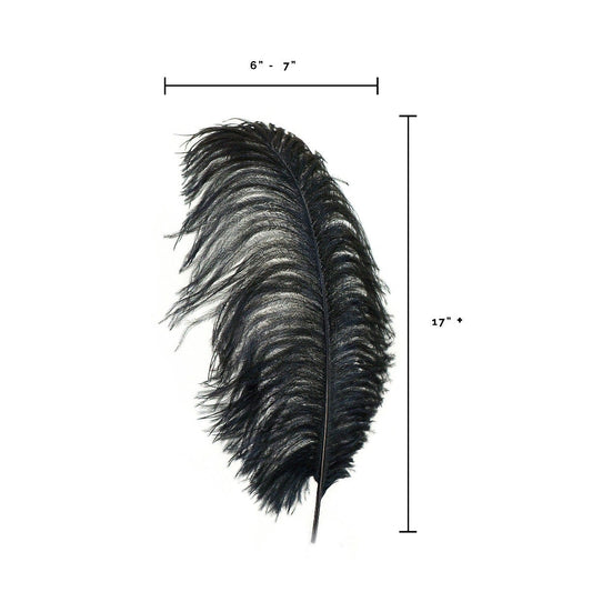 Large Ostrich Feathers - 17"+ Drabs - Black