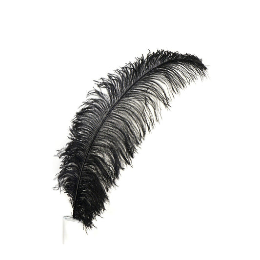 Large Ostrich Feathers - 20-25" Prime Femina Plumes - Black