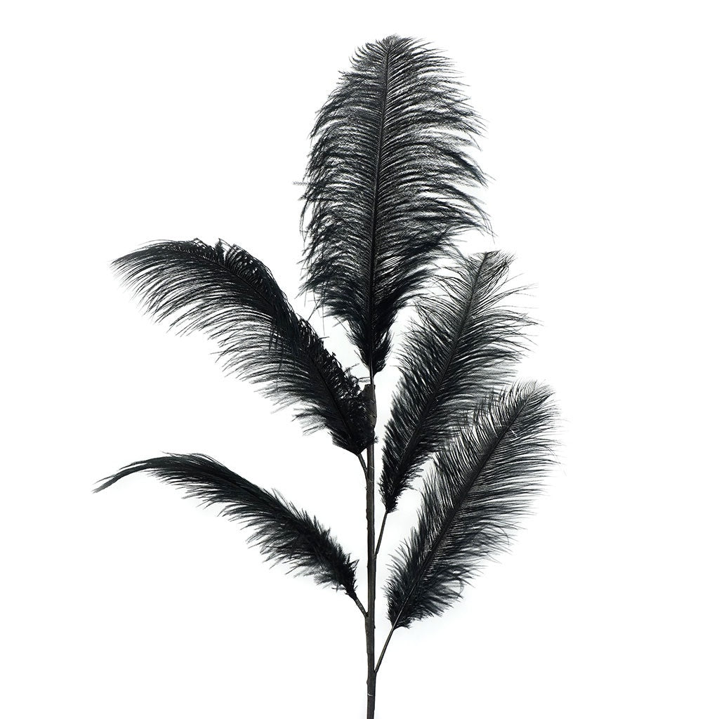 Feather Ostrich Spray on Stem Black