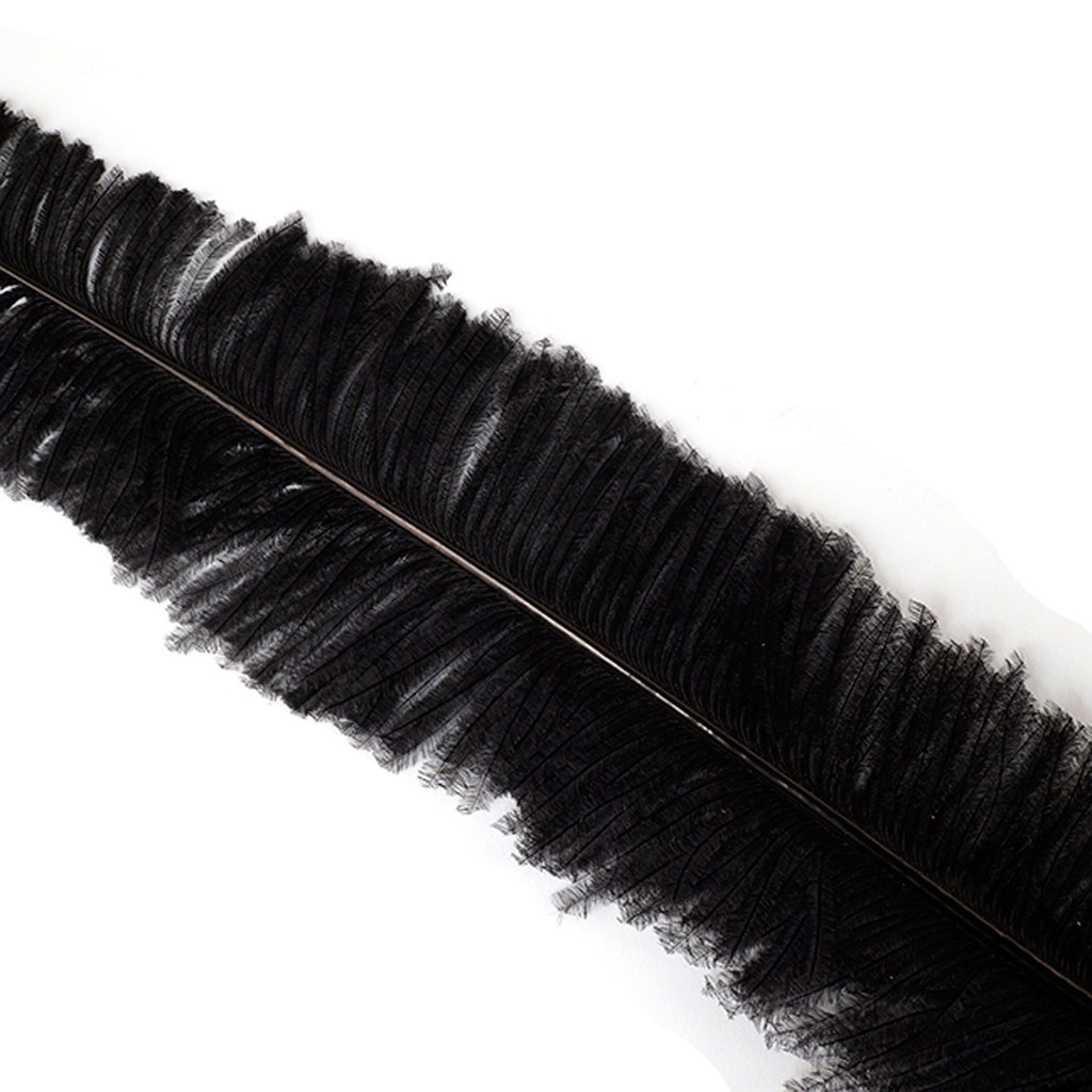 Ostrich Nandu Feathers - Black