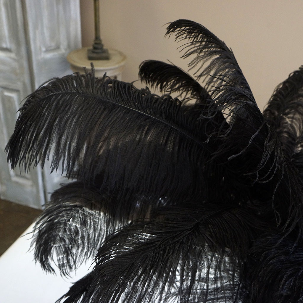 Large Ostrich Feathers - 17"+ Drabs - Black