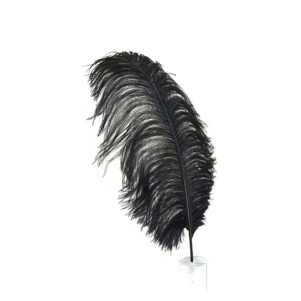 Large Ostrich Feathers - 17"+ Drabs - Black