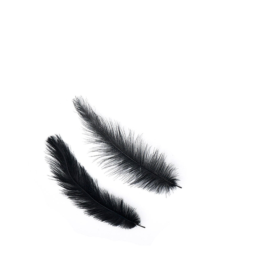 Rhea Tail Feathers Selected - Black