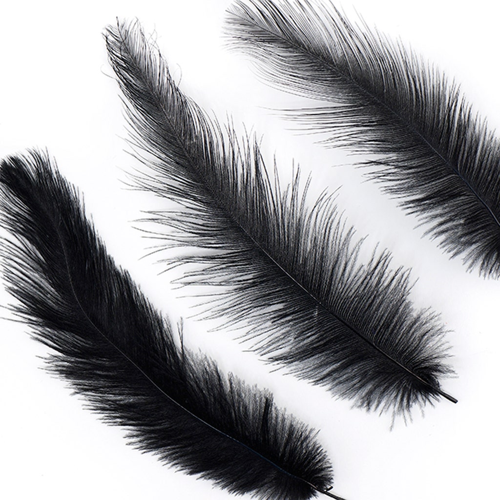 Rhea Tail Feathers Selected - Black
