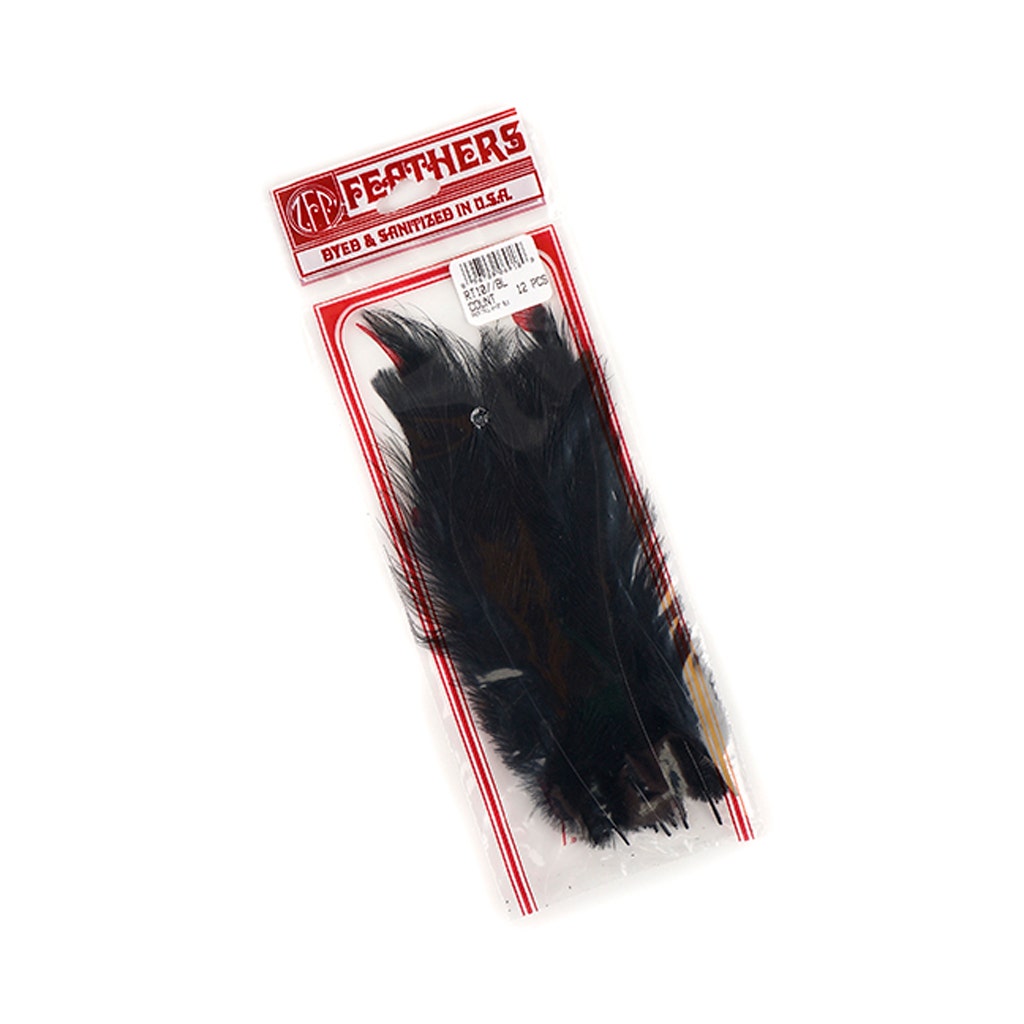 Rhea Tail Feathers Selected - Black