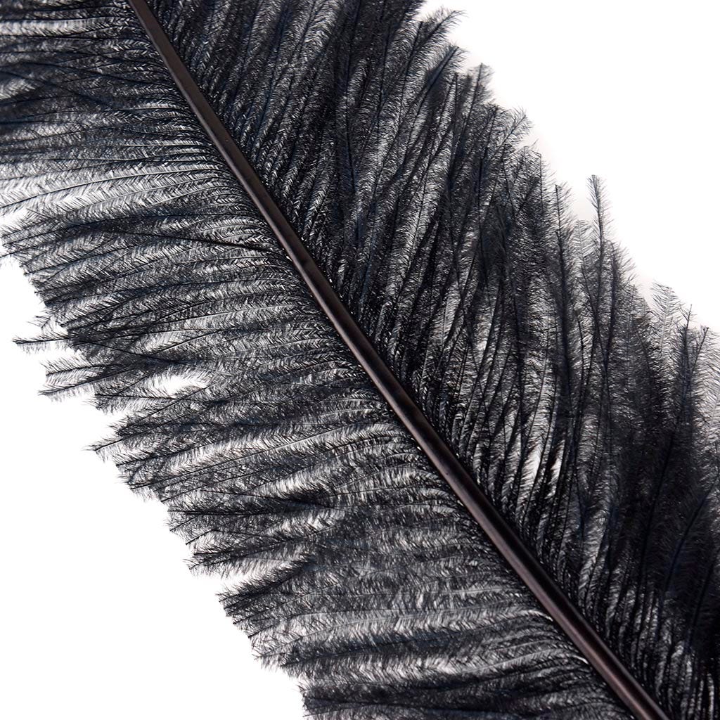 Ostrich Spad Feathers Trimmed w/Natural Markings Black