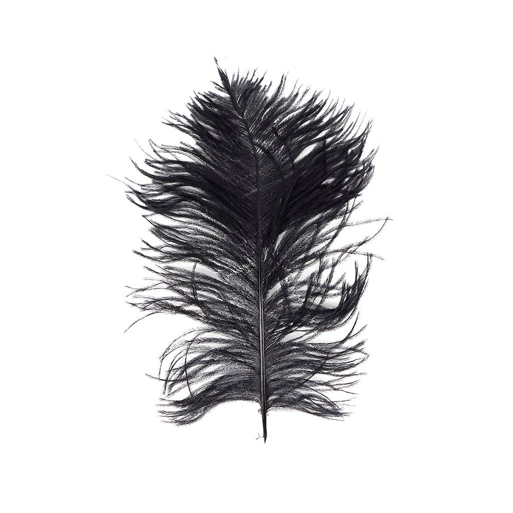 Ostrich Tail Feathers - Cut Tops - 5-11 inch - 12 pcs - Black