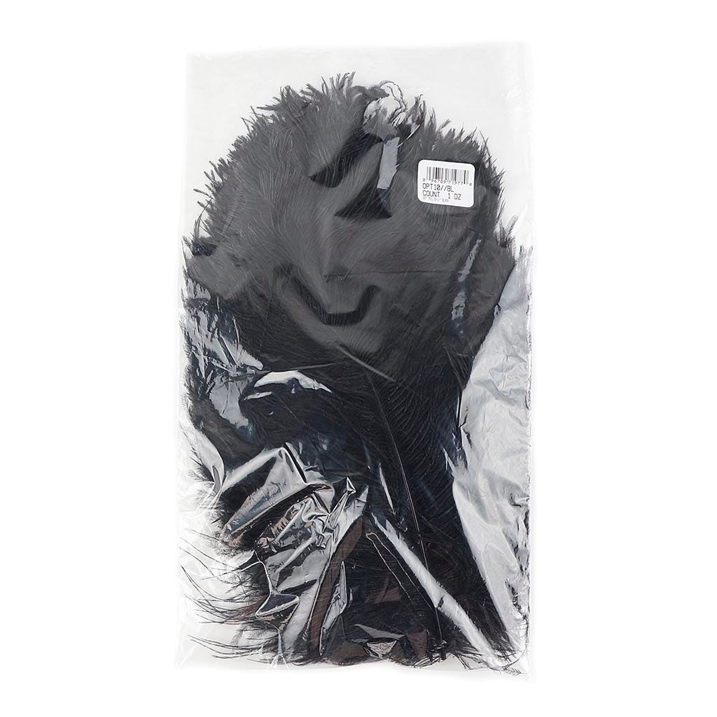 Ostrich Tail Feathers - Cut Tops - 5-11 inch - 12 pcs - Black