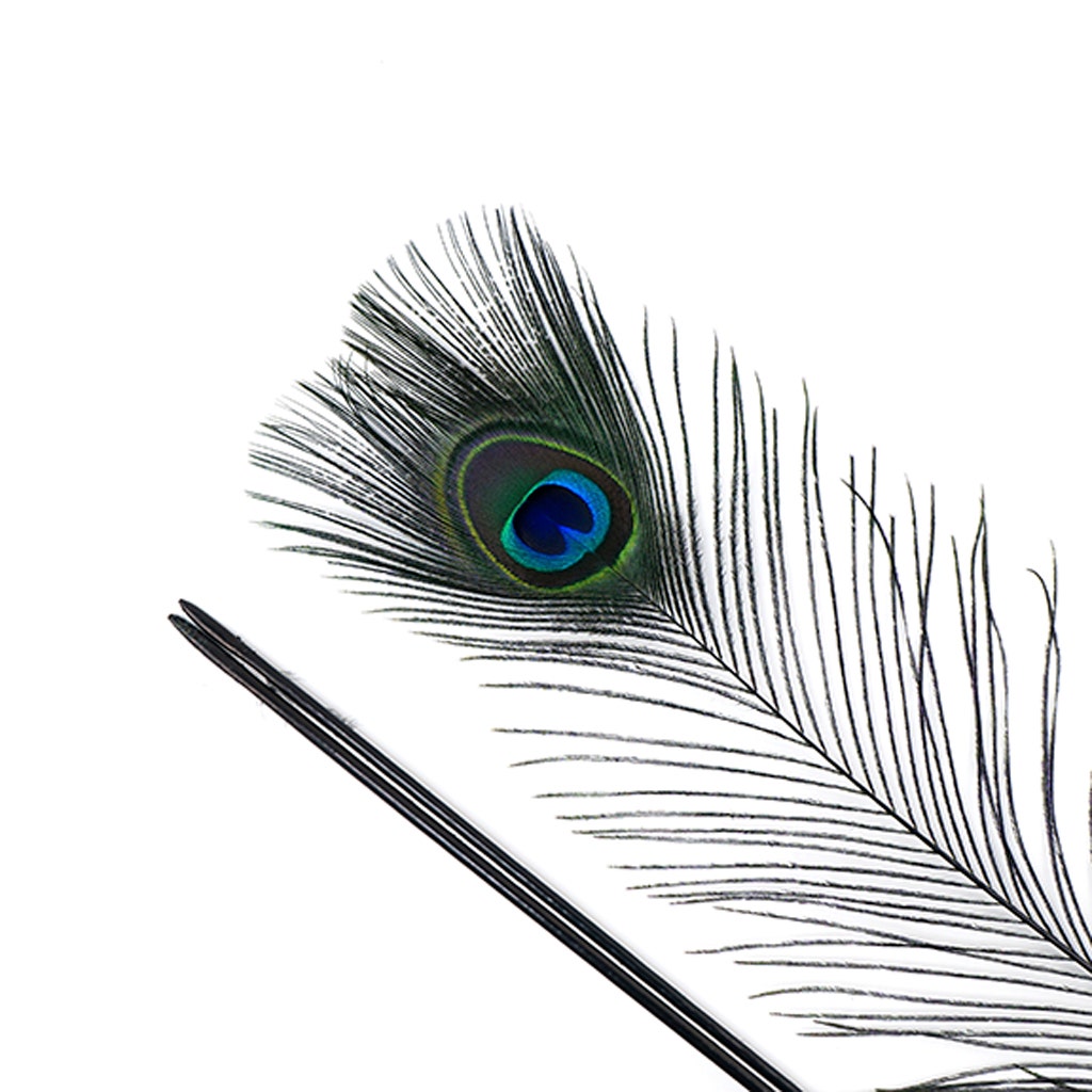Peacock Tail Eyes Stem Dyed - 25-40 Inch - 100 PCS - Black
