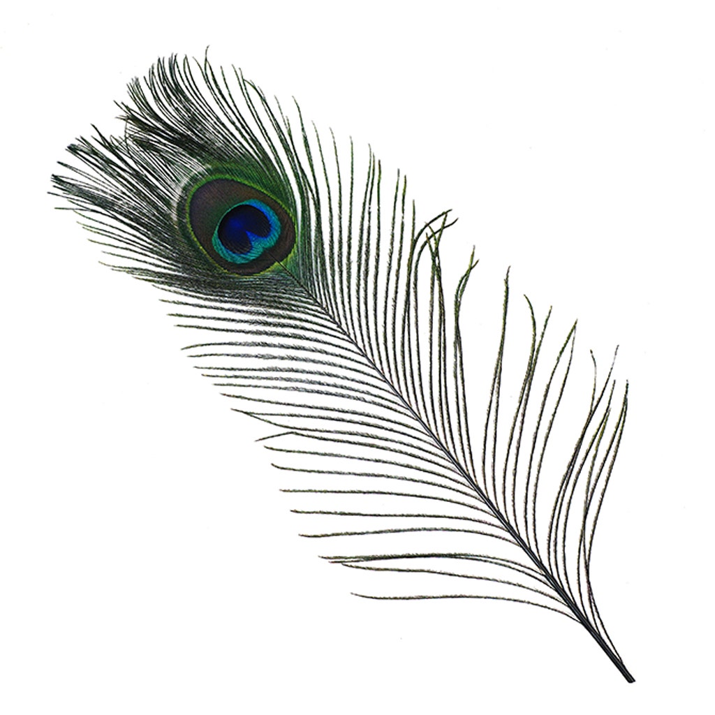 Peacock Tail Eyes Stem Dyed - Black