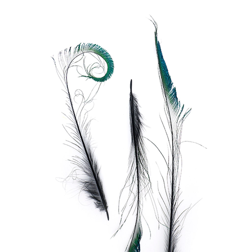 Peacock Swords Stem Dyed - Black