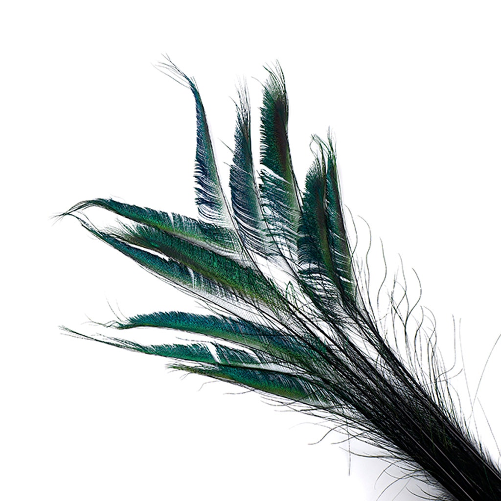 Bulk Peacock Sword Feathers Stem Dyed - 100 pc 25-40" - Black