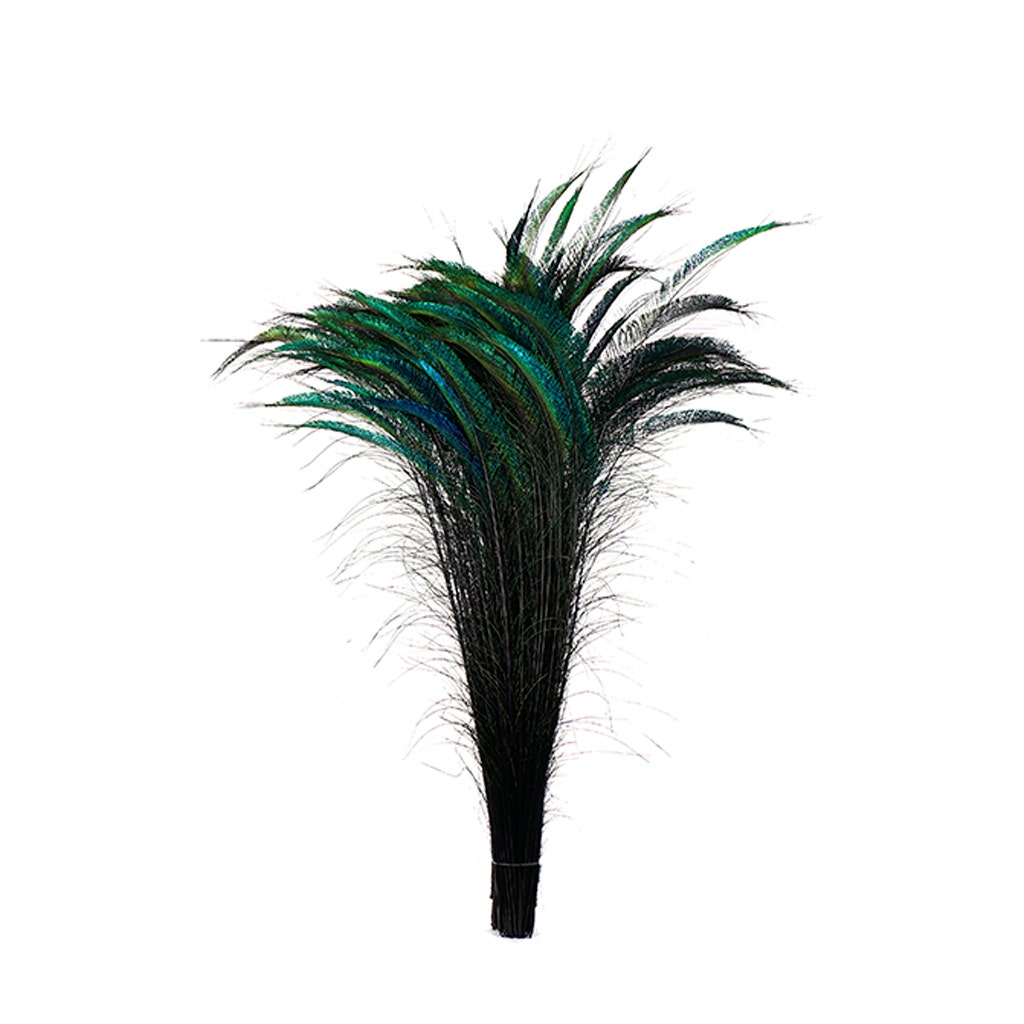 Bulk Peacock Sword Feathers Stem Dyed - 100 pc 25-40" - Black