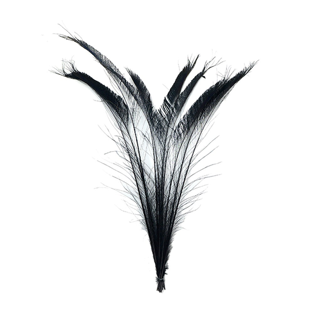 Peacock Swords Bleached/Dyed - Black