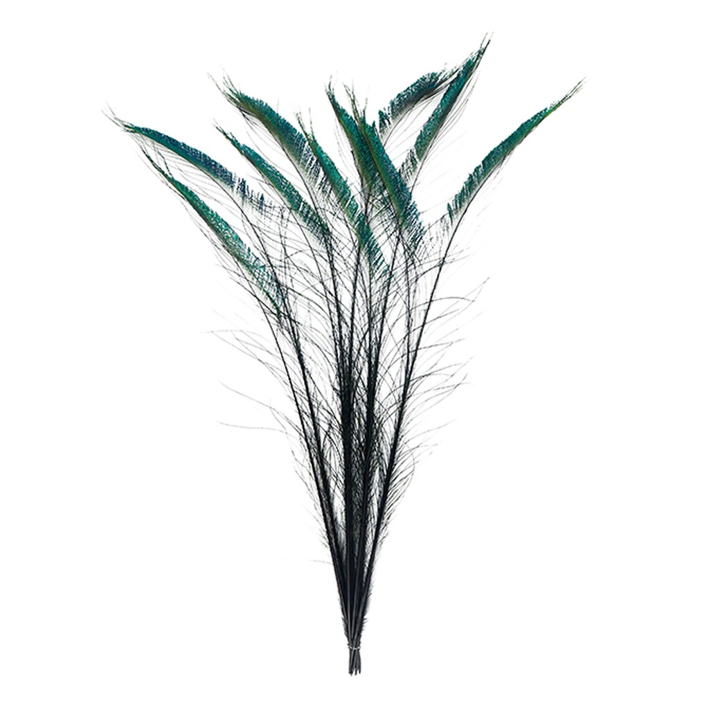 Peacock Swords Stem Dyed - Black