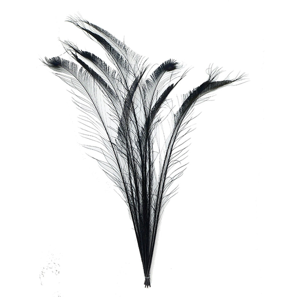 Peacock Swords Bleached/Dyed - Black