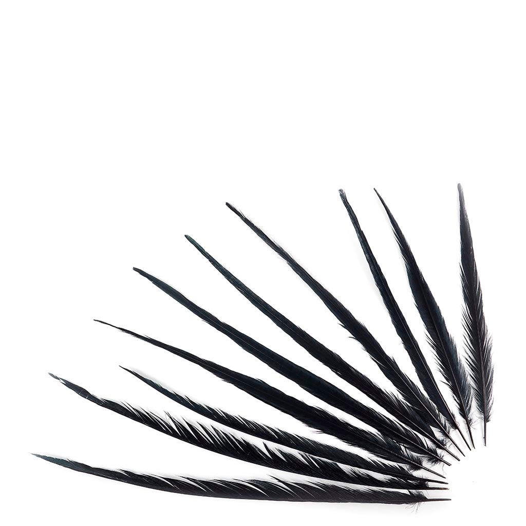 Assorted Pheasant Tails Dyed - Black