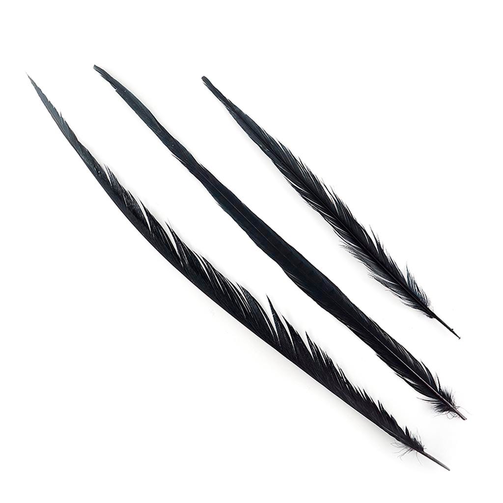Assorted Pheasant Tails Dyed - Black