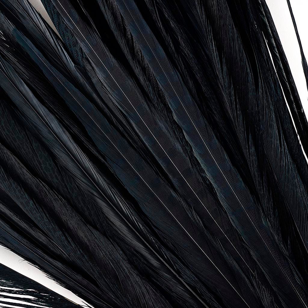 Assorted Pheasant Tails Dyed - Black