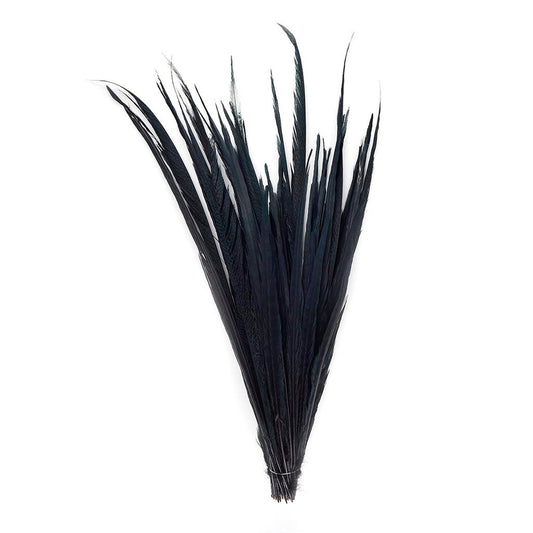 Assorted Pheasant Tails Dyed - Black