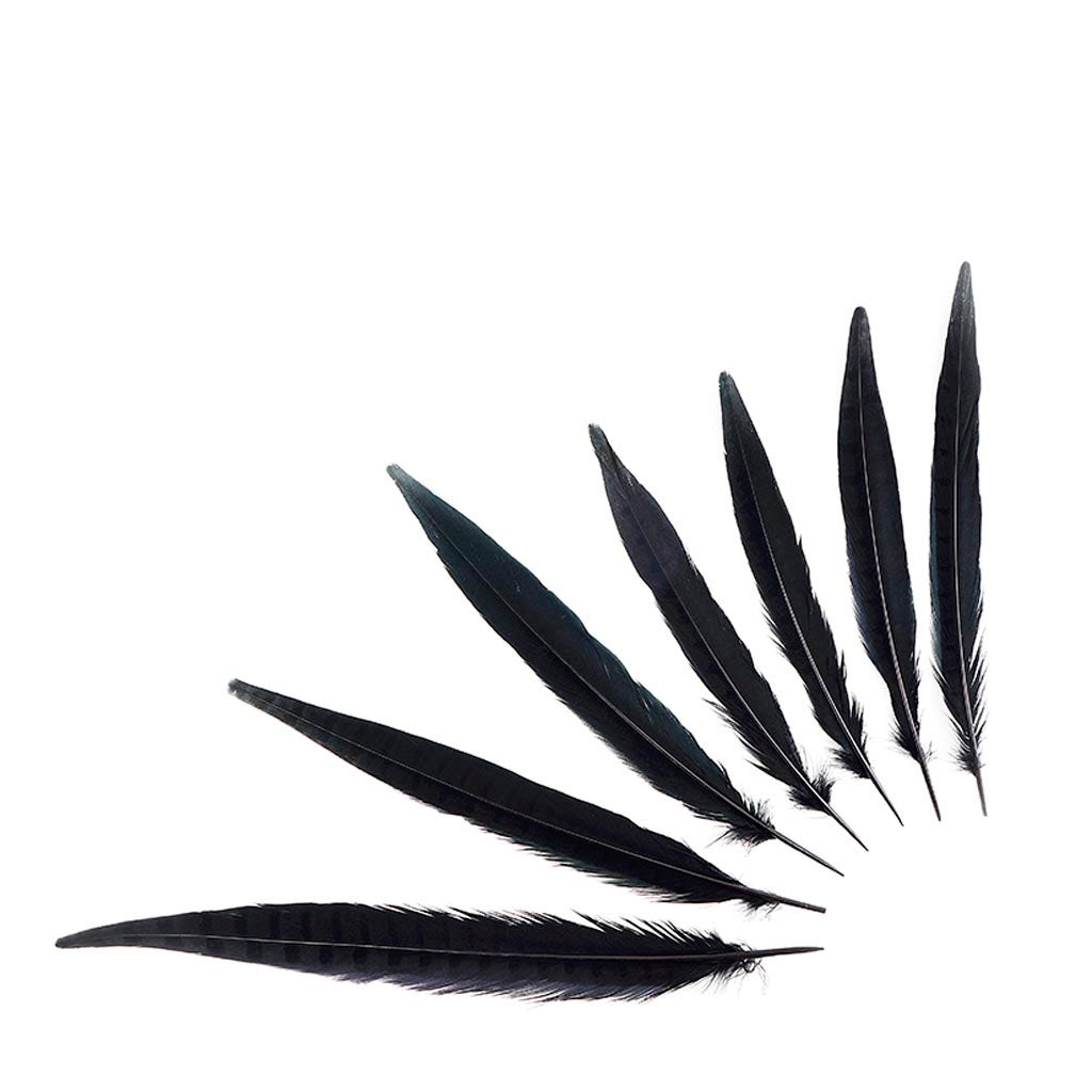 Pheasant Tails Assorted Bleached - Black
