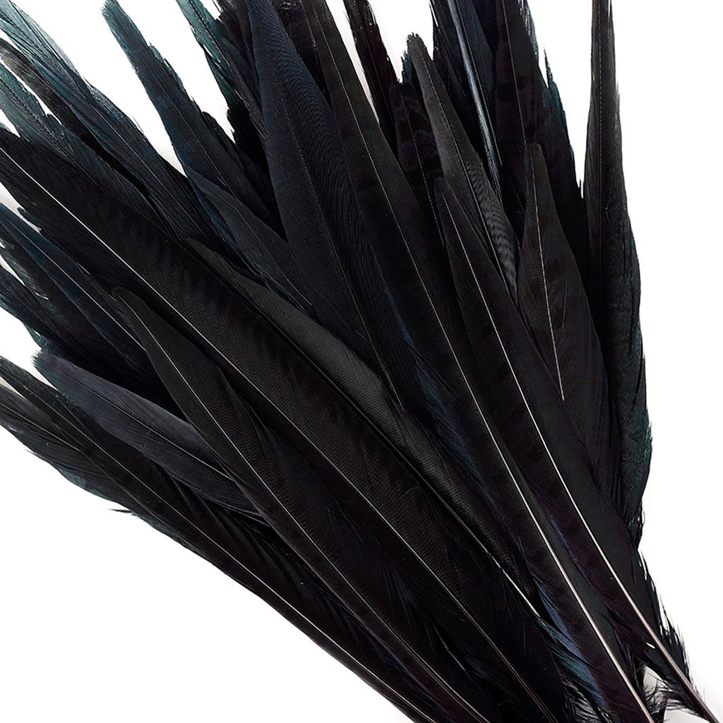 Pheasant Tails Assorted Bleached - Black