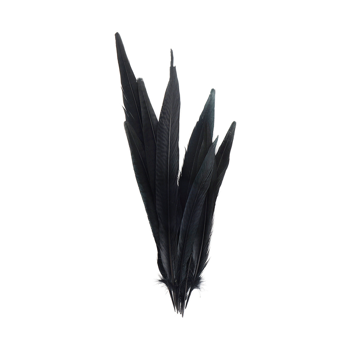 Pheasant Tails Assorted Bleached - Black