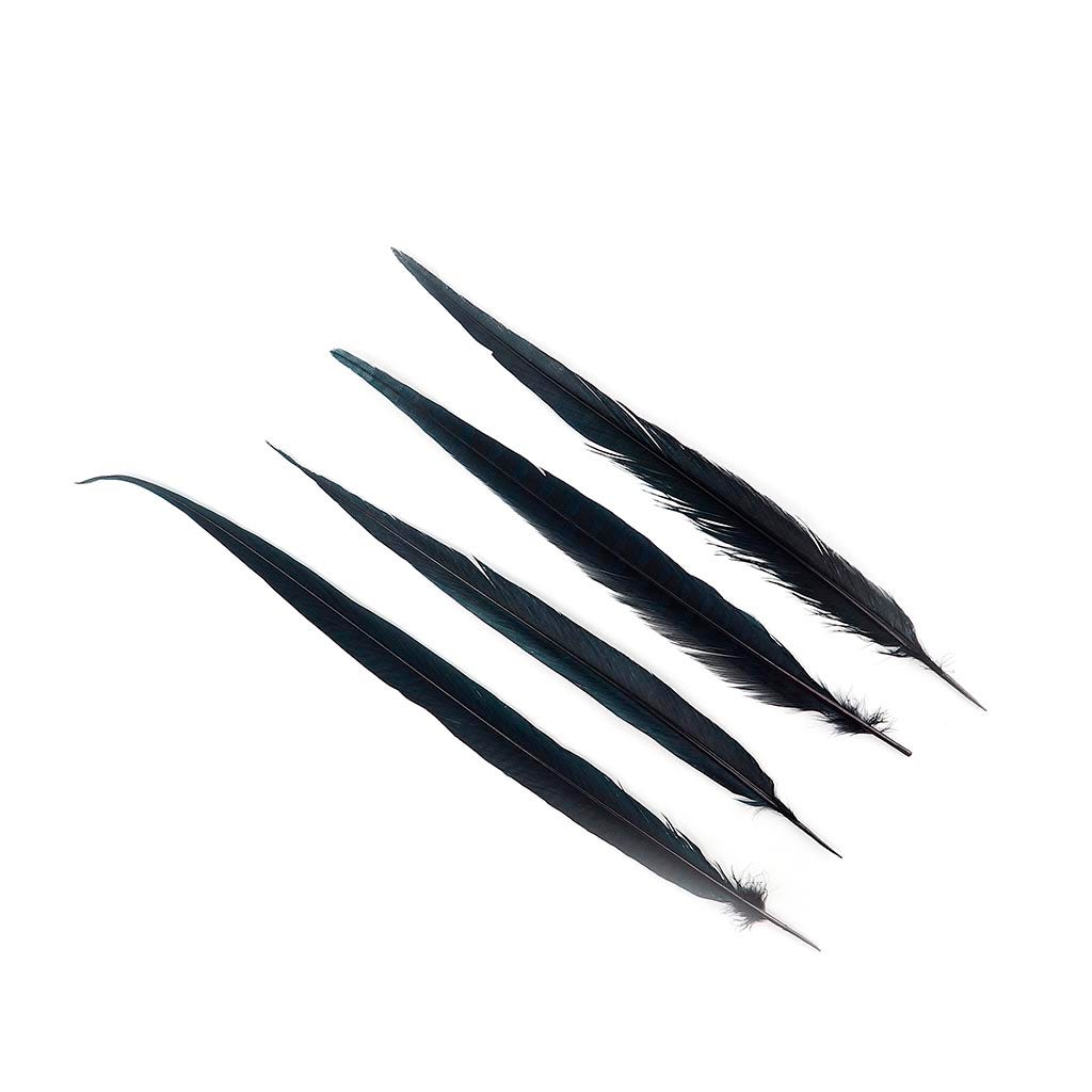 Pheasant Tails Assorted Bleached - Black