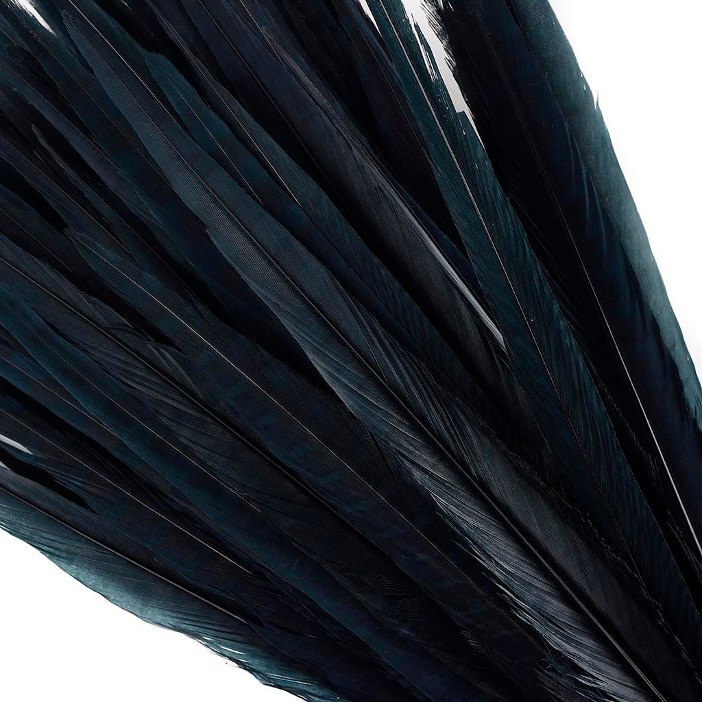 Pheasant Tails Assorted Bleached - Black