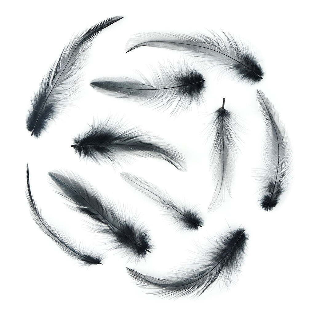 Loose Rooster Hackle Feathers Dyed 1-3"- Black