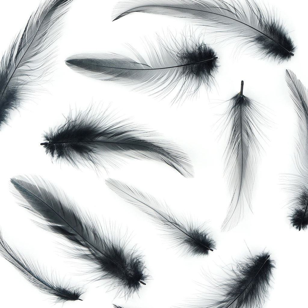 Loose Rooster Hackle Feathers Dyed 1-3"- Black