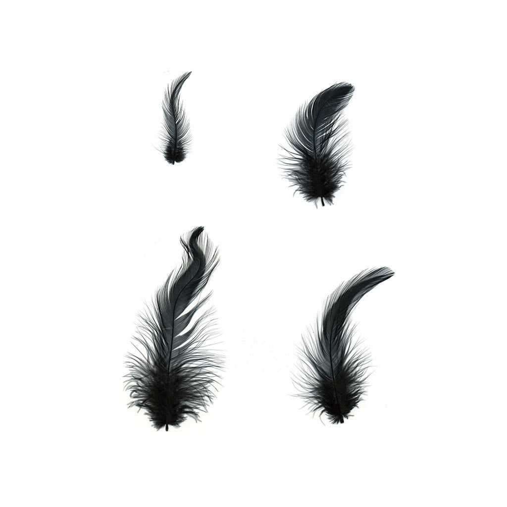 Loose Rooster Hackles Dyed - Black