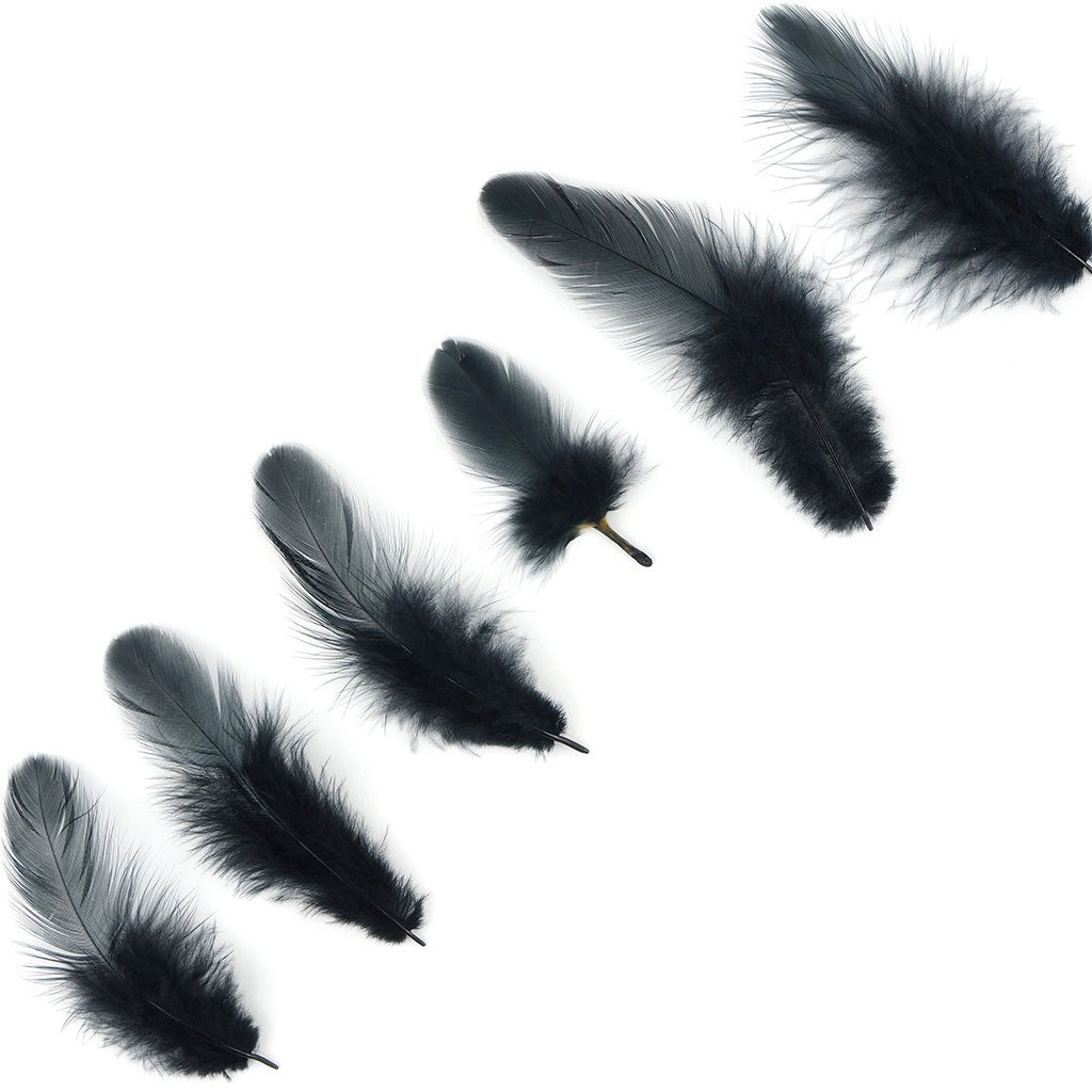 Loose Rooster Plumage Dyed - Black