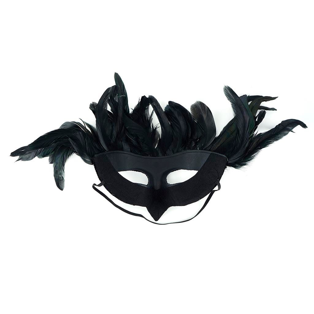 Black Raven Feather Mask