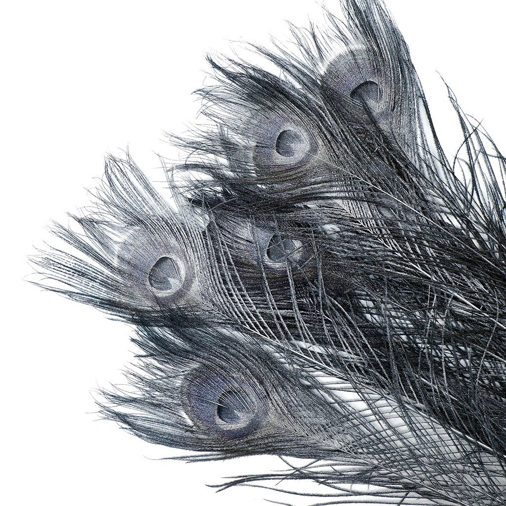 Peacock Tail Eyes Sprayed - Black/Silver Lurex - 30 - 40"