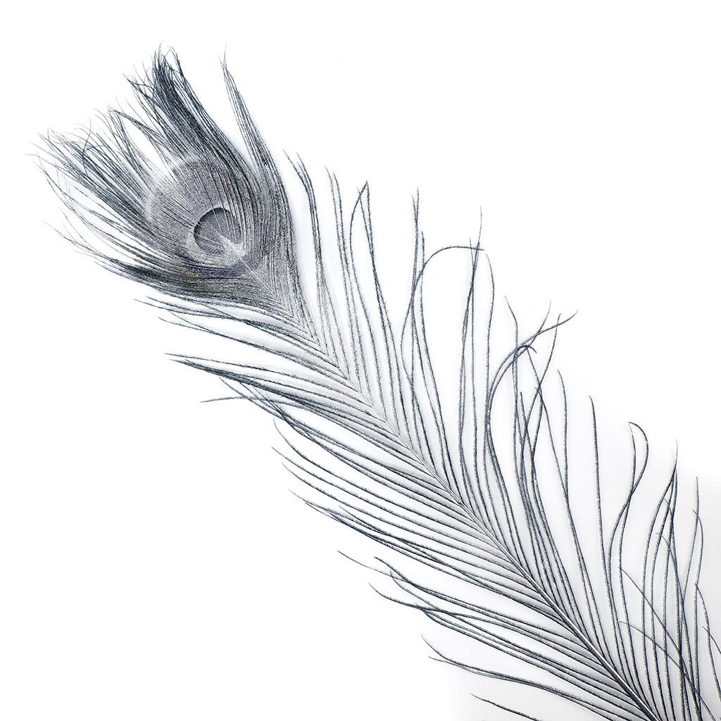 Peacock Tail Eyes Sprayed - Black/Silver Lurex - 30 - 40"