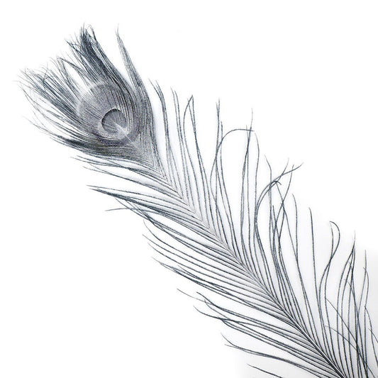 Peacock Tail Eyes Sprayed - Black/Silver Lurex - 30 - 40"