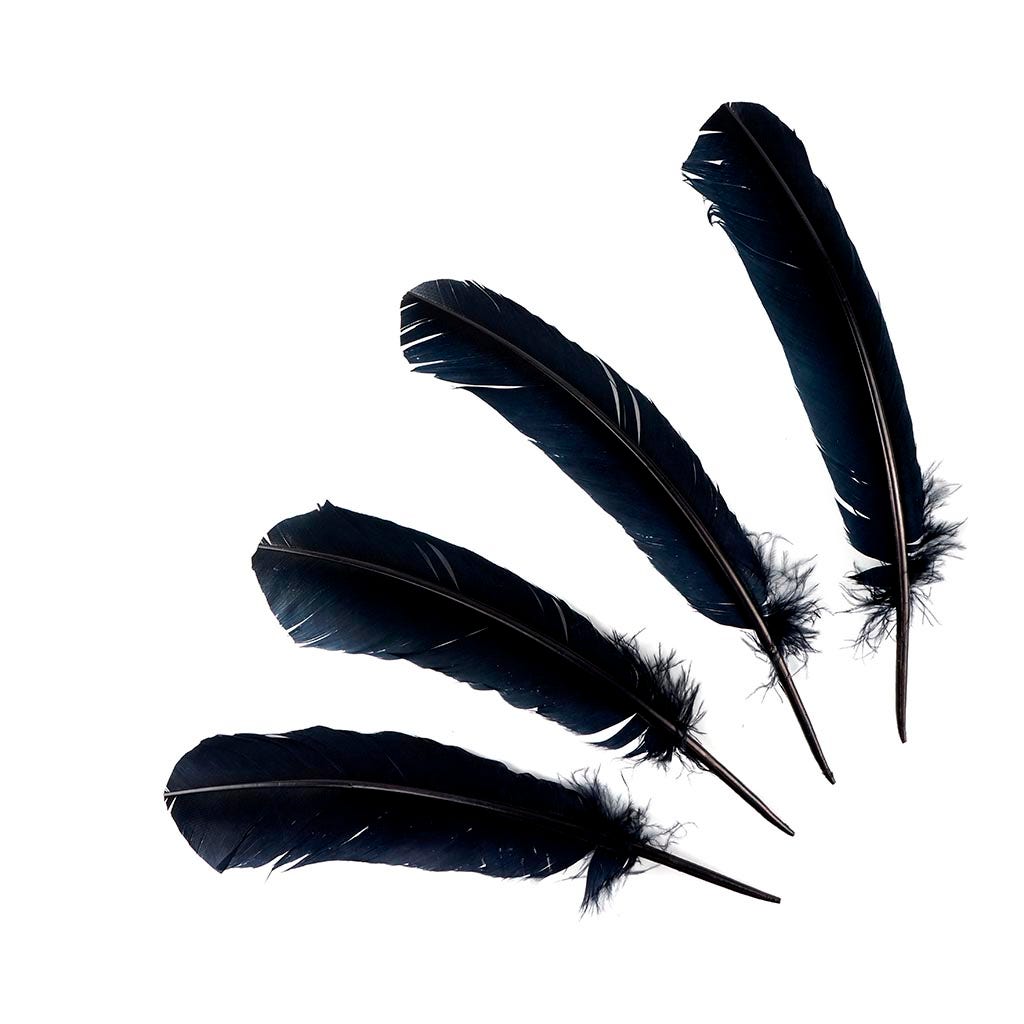 Turkey Quills Dyed - Black