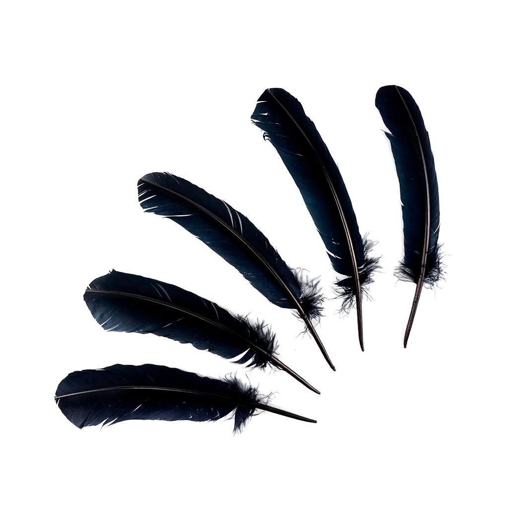 Turkey Quills by Pound - Left Wing - Black