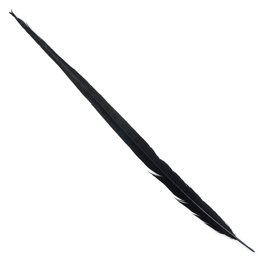 Venery Pheasant Tails - Dyed - 30 - 40" 1pc Black