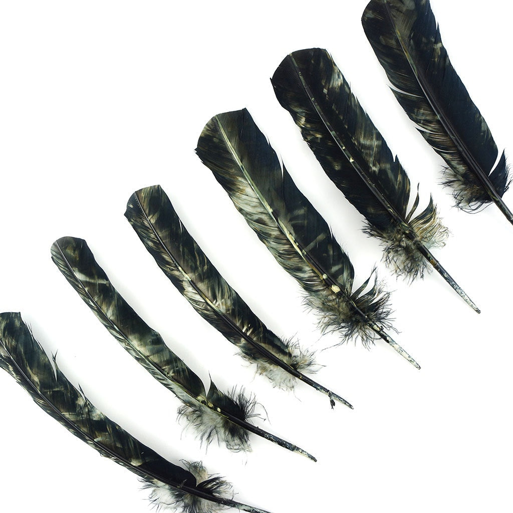 Turkey Quill - Tie Dye - Black and White