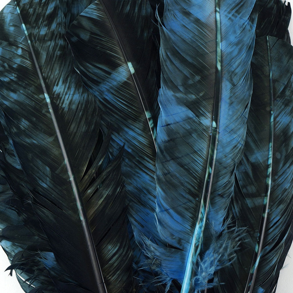 Turkey Quill Left Wing - Tie Dye - Ocean Blue & Black
