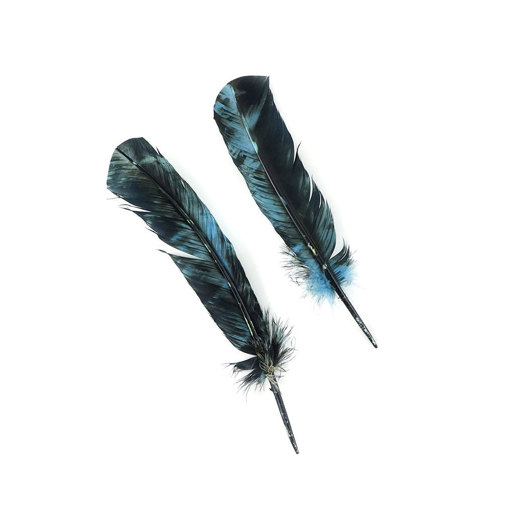 Turkey Quill Right Wing - Tie Dye - Ocean Blue & Black