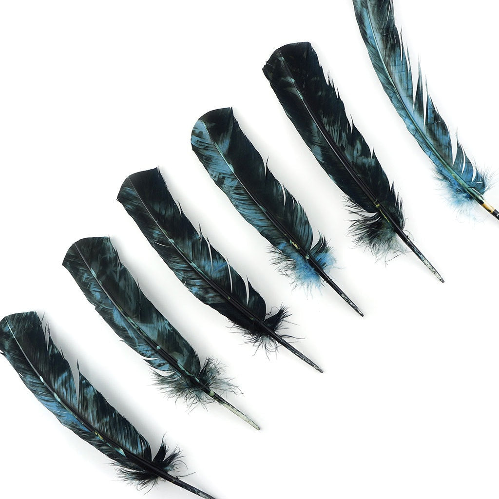 Turkey Quill Right Wing - Tie Dye - Ocean Blue & Black