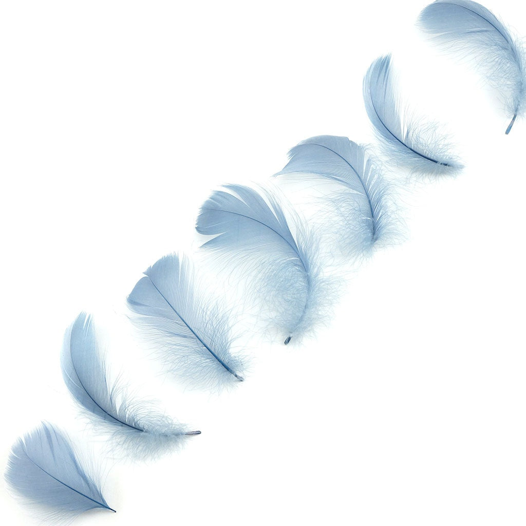 Country Blue Loose Goose Coquille Feathers 3-5 inch